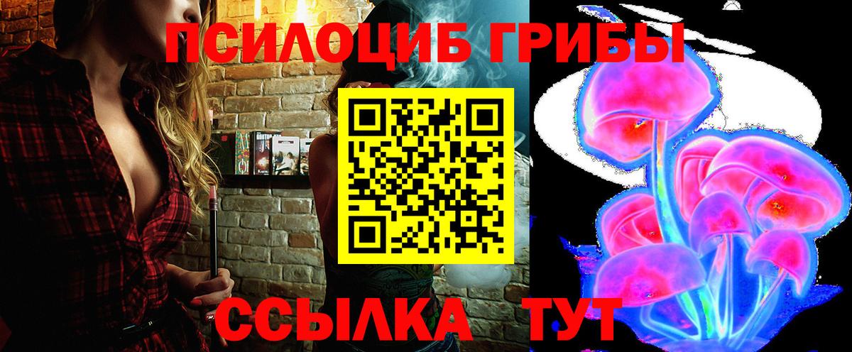 Псилоцибиновые грибы Psilocybe Великие Луки
